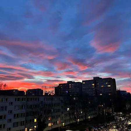 Skyview Serenity